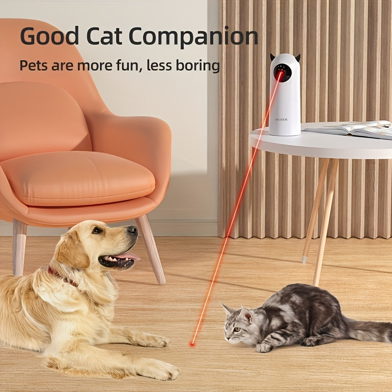 Meowtastic Play