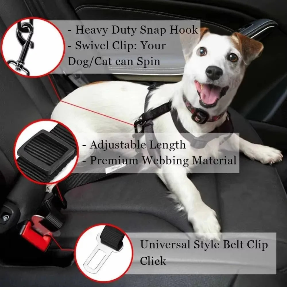 Tongyue Secure Harness