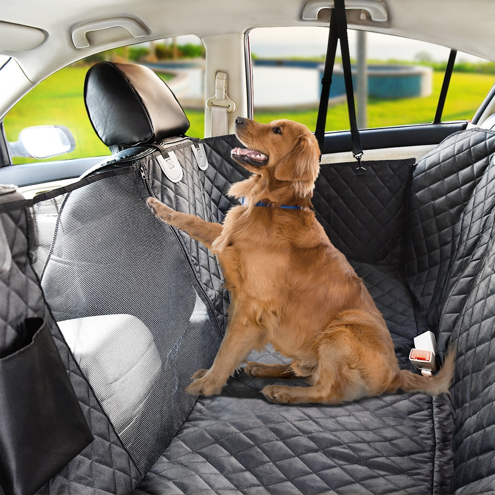 PawsOnTheGo CarTrek - RileyOutlet.com