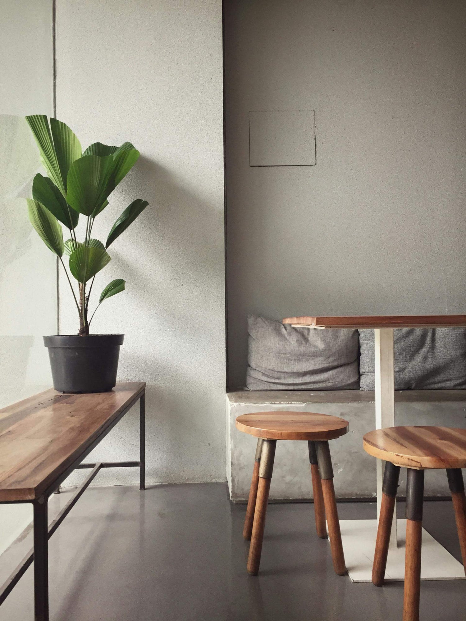 Small space urban living room with wooden bench, stools, and a plant against a neutral wall.